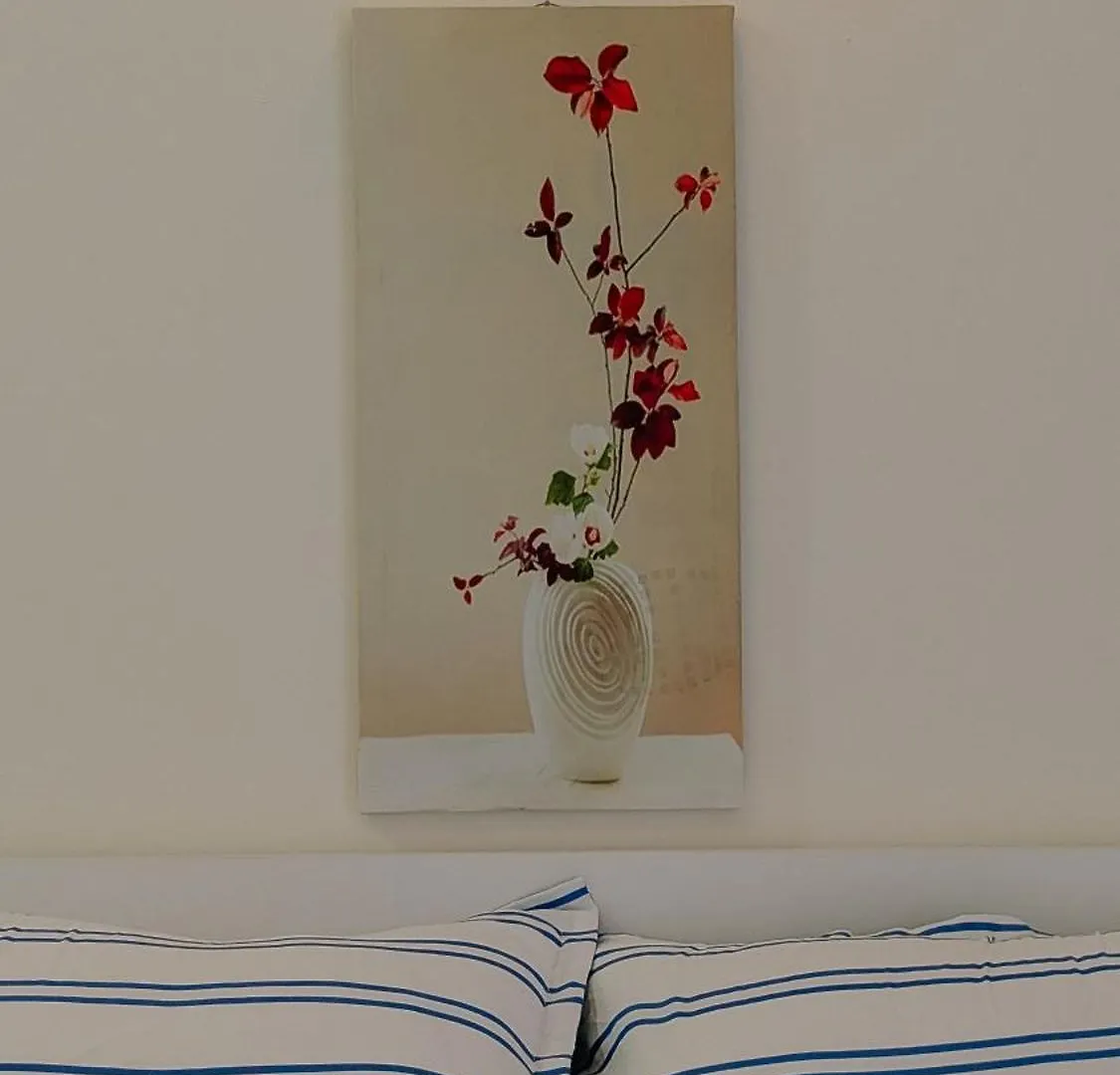 Cozy Studio Apartments Batumi 0*,
