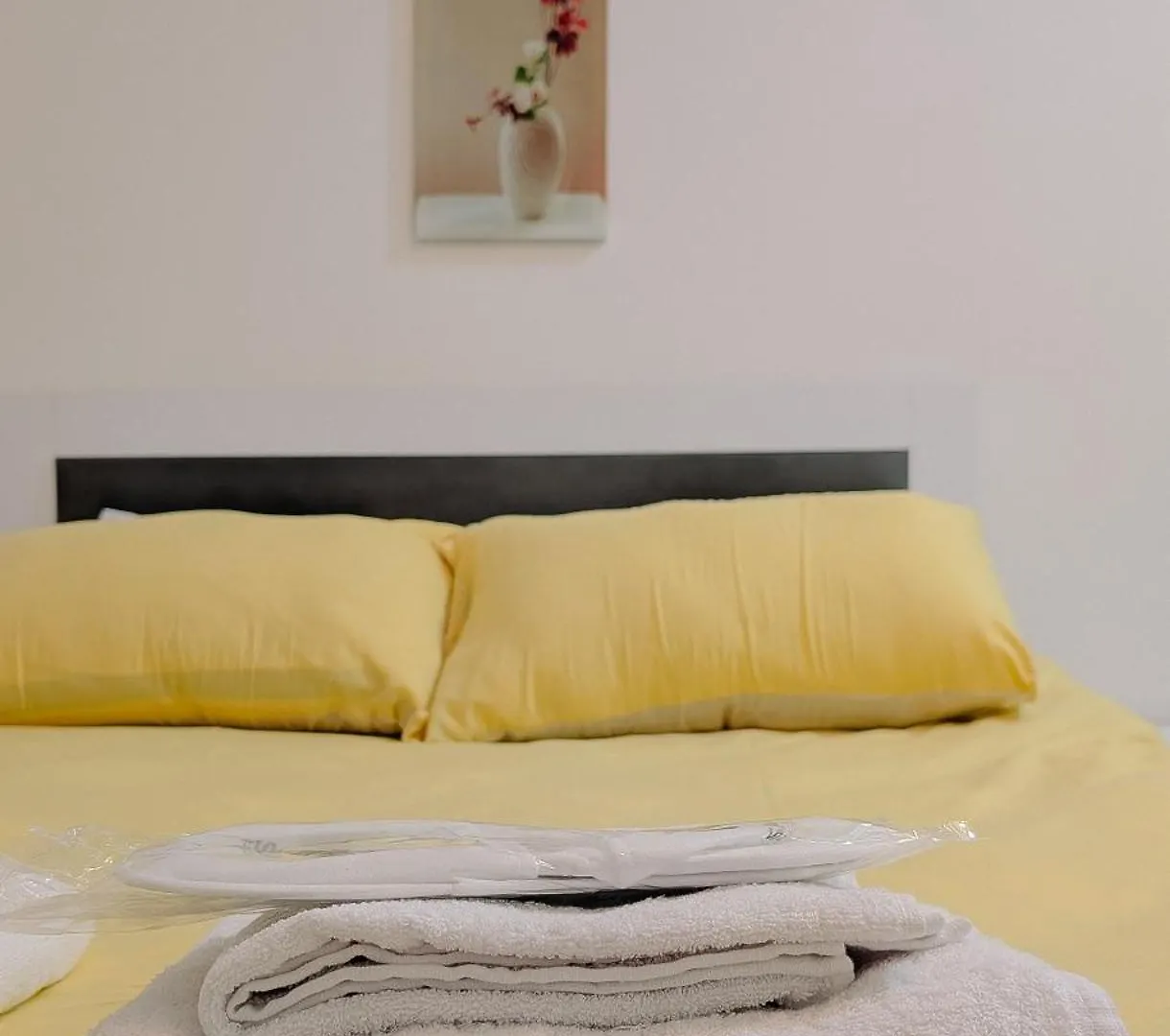 Cozy Studio Apartments Batumi
